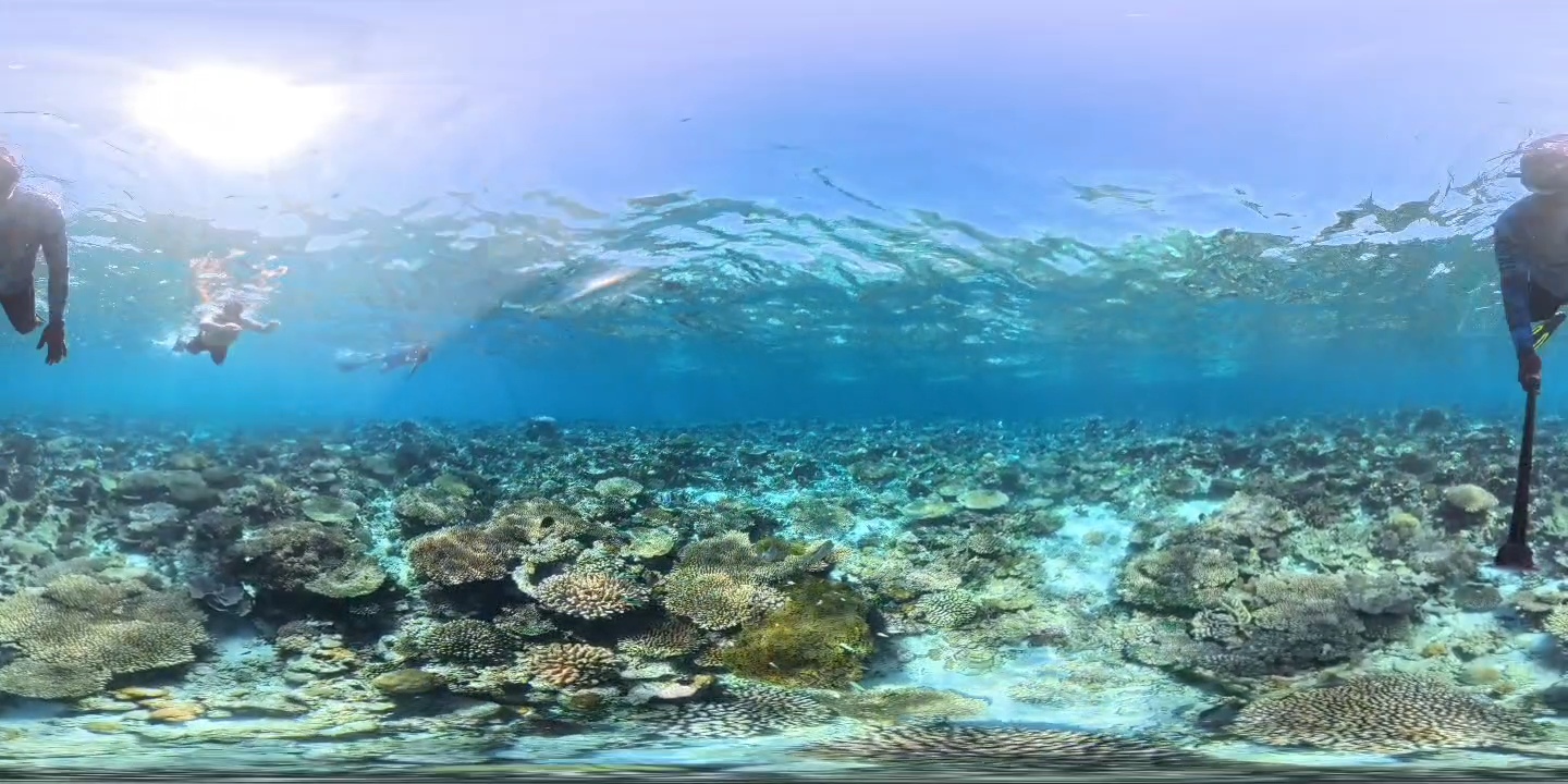 Sea turtle and snorkeler above a Maldivian coral reef