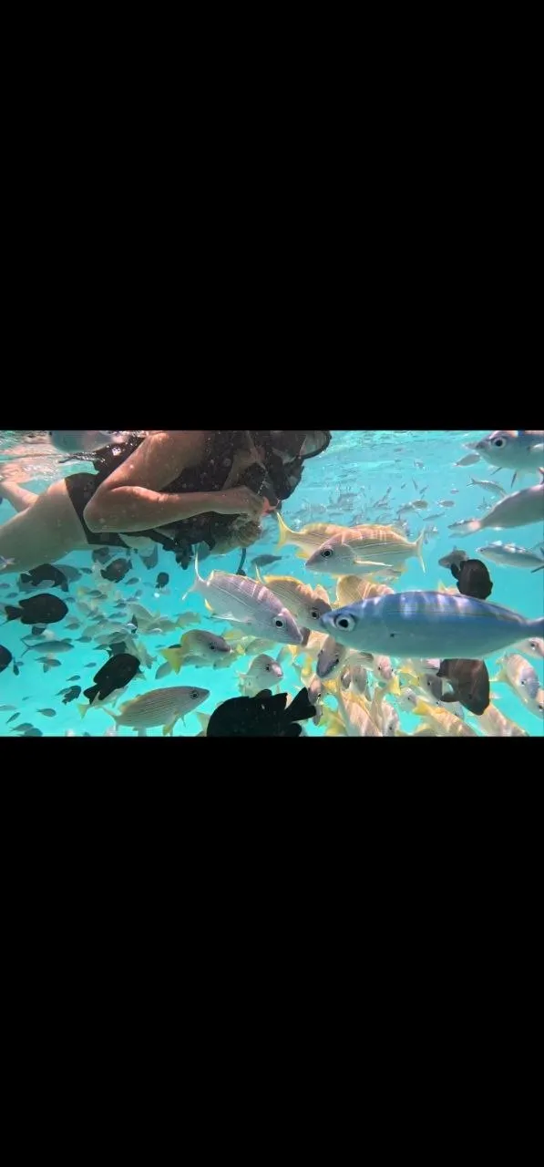 Clear blue water above a tropical reef