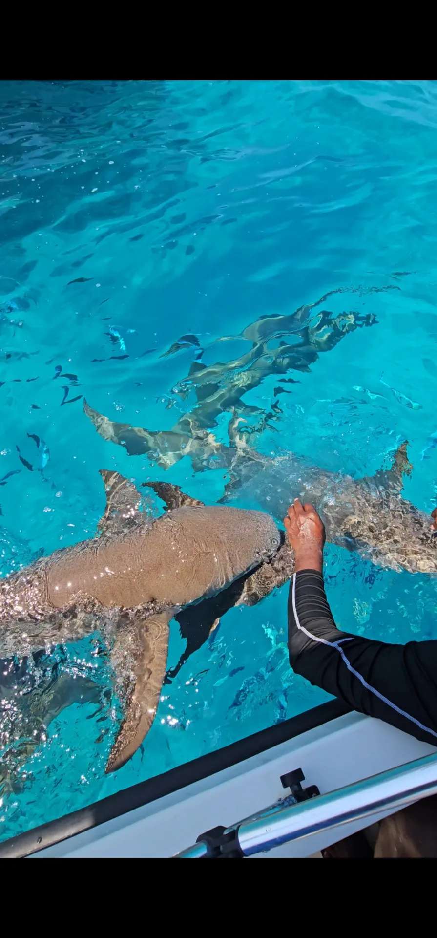 Snorkeler exploring clear Maldivian waters